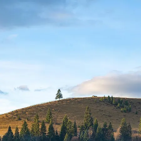 Eco Bungalo Hotel 2*